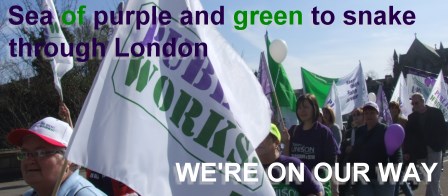 Sea of purple and green