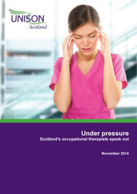 Occupational therapists survey report Nov 2014